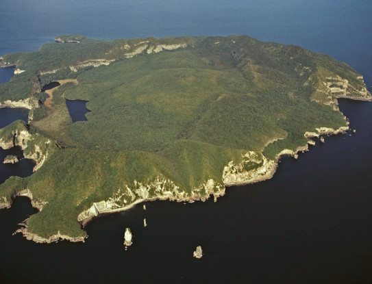Mayor Island