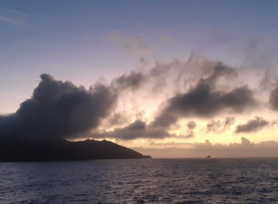 Screenshot 2024 07 08 at 11.33.50AM